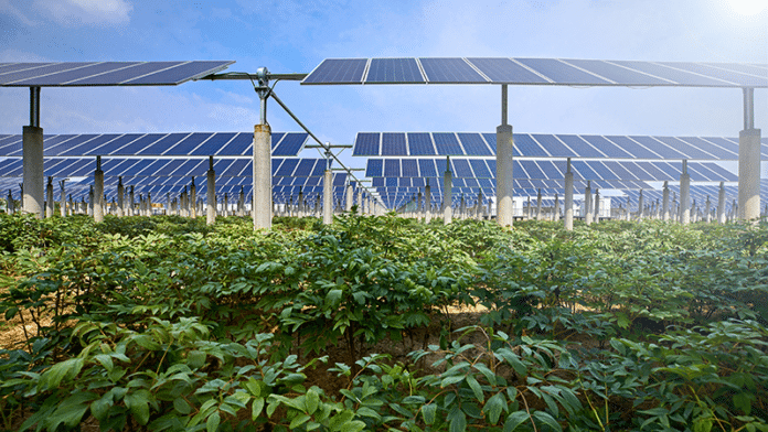 Solar auf Feld